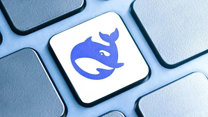 DeepSeek 推理思维链沙盒